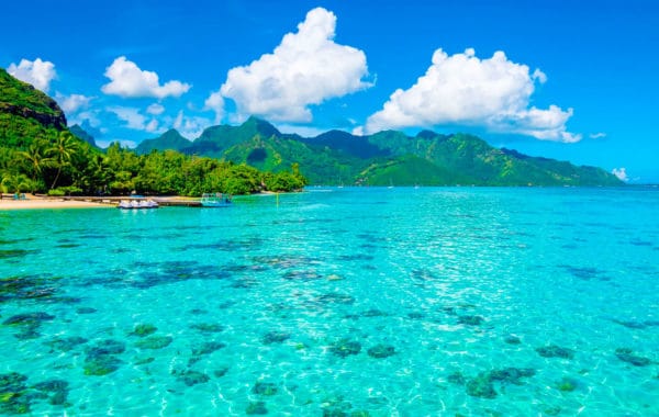 FRENCH POLYNESIA YACHT CHARTER | Charter with Arthaud Yachting